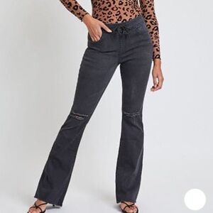 YMI Flare Jogger Black Jean 2X NWOT